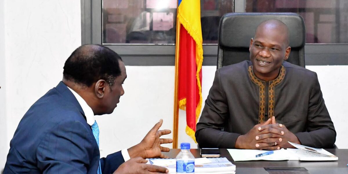 تشاد تبحث جذب استثمارات في الطاقة والرقمنة ضمن خطة “كونكسيون 2030”