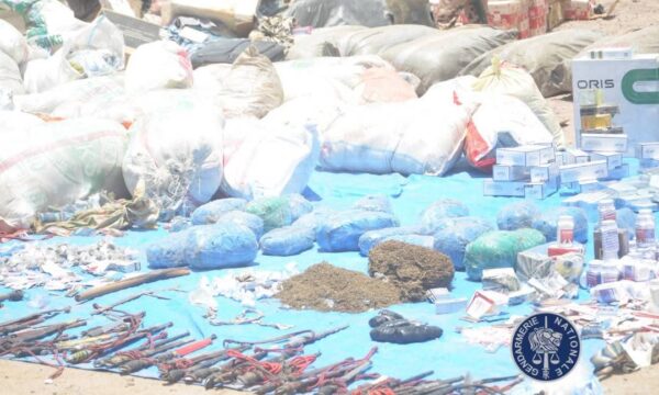 حملة أمنية واسعة في أنجمينا تسفر عن توقيف 26 مشتبهًا وتفكيك شبكات إجرامية