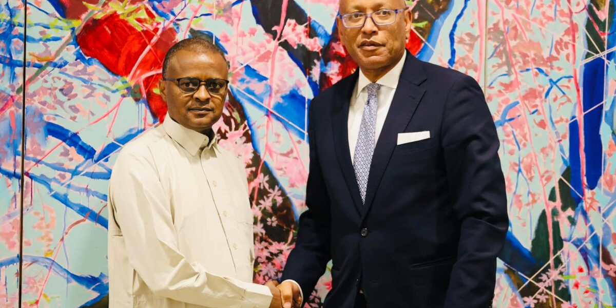 تشاد ومؤسسة التمويل الدولية تبحثان تعزيز الاستثمار الخاص ودعم القطاعات الاستراتيجية