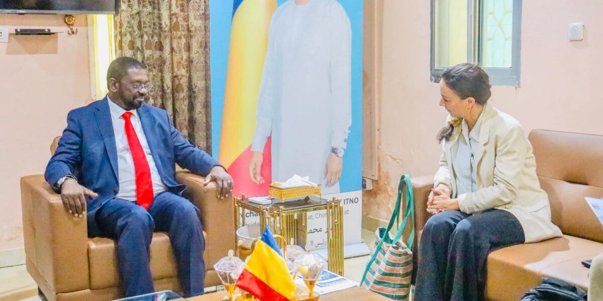 تشاد تعزز شراكتها مع الأمم المتحدة بمشاريع استثمارية في الشرق