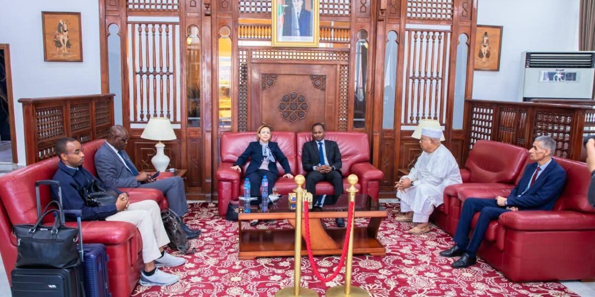 تشاد والجزائر تبحثان تعزيز التعاون البيئي ومواجهة تحديات المناخ والتصحر