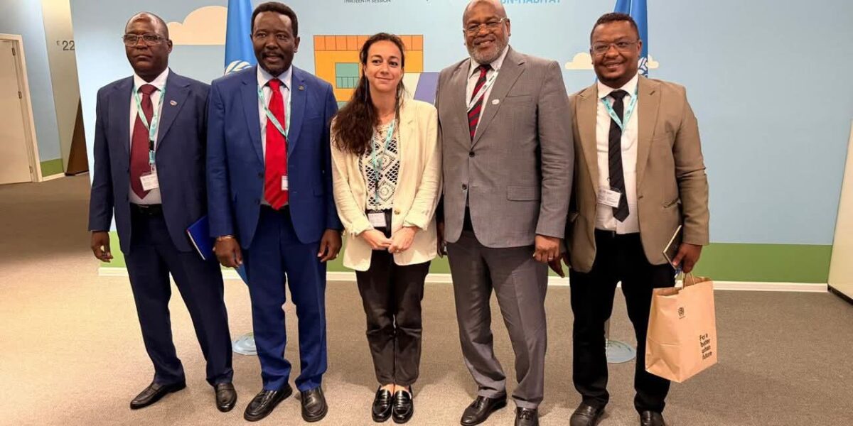 الأمم المتحدة تدخل على خط تطوير أنجمينا… ووعود بدعم حضري وتمويلي للعاصمة