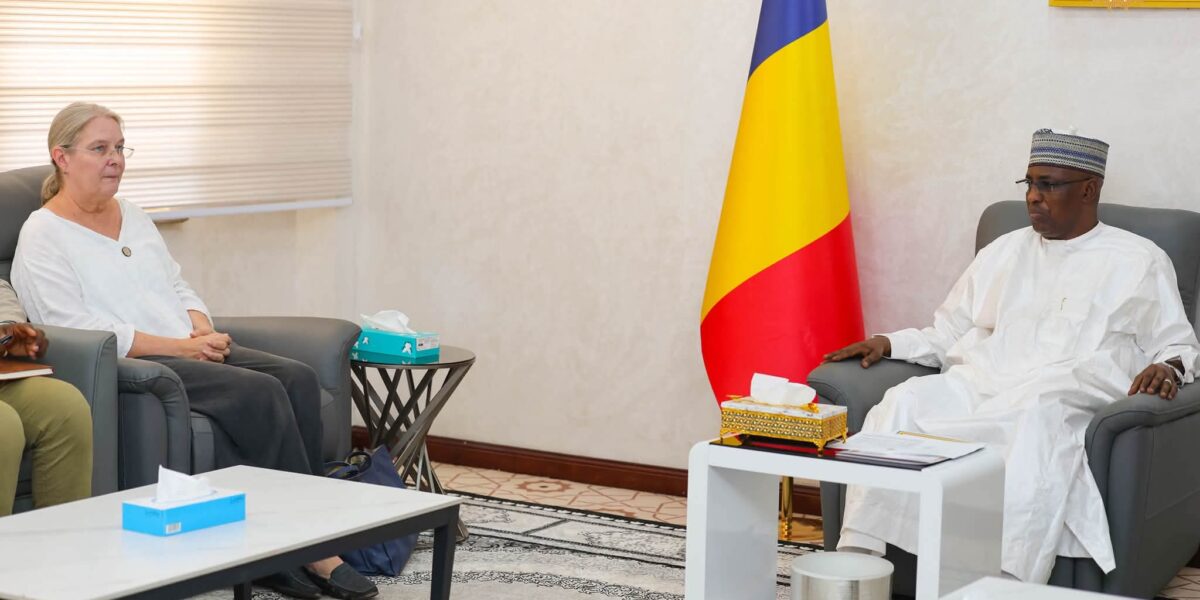 تشاد وسويسرا تبحثان تعزيز التعاون ودعم القدرات المؤسسية