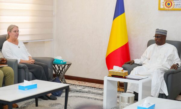 تشاد وسويسرا تبحثان تعزيز التعاون ودعم القدرات المؤسسية