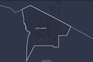 ميسكي.. دعوات عاجلة لوقف القتال وإحياء اتفاق السلام في تيبستي